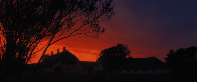 Video Reference: Cloud, Sky, Atmosphere, Afterglow, Branch, Orange, Natural landscape, Sunset, Dusk, Red sky at morning