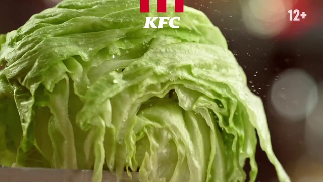 Video Reference: Food, Iceburg lettuce, Ingredient, Plant, wild cabbage, Leaf vegetable, Cabbage, Cuisine, Natural foods, Dish