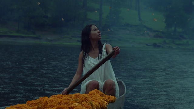 Video Reference: Water, Nature, Human, Flash photography, People in nature, Grass, Boats and boating--Equipment and supplies, Happy, Travel, Leisure