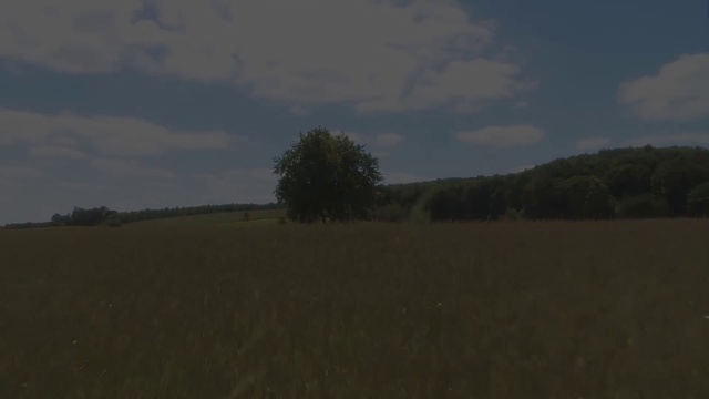 Video Reference: Cloud, Sky, Plant, Natural landscape, Tree, Landscape, Horizon, Cumulus, Grassland, Meadow