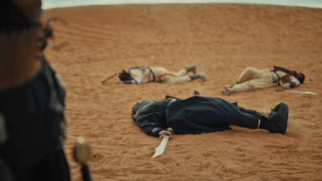 Video Reference: Landscape, Wood, Sand, Aeolian landform, Soil, Human leg, Recreation, Comfort, Working animal, Fun