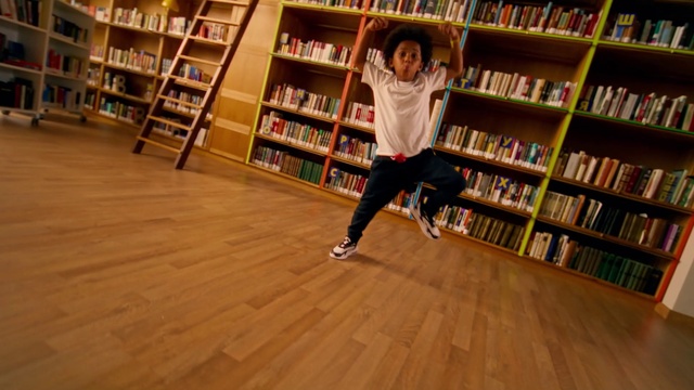 Video Reference: Bookcase, Shelf, Furniture, Book, Publication, Shelving, Wood, Flooring, Floor, Chair