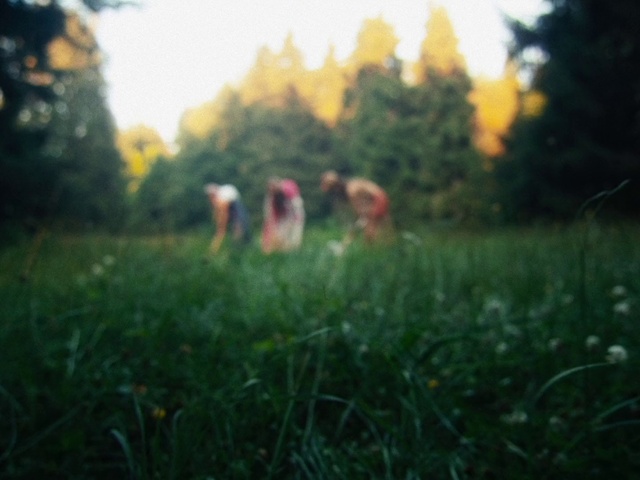 Video Reference: Plant, Atmosphere, Natural environment, Natural landscape, Sky, Sunlight, Grass, People in nature, Fawn, Grassland