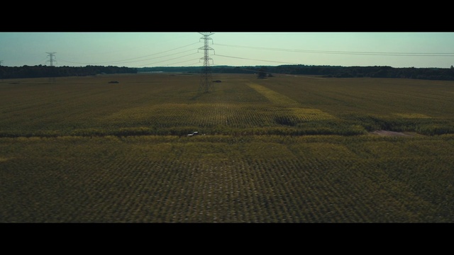 Video Reference: Sky, Natural landscape, Tree, Asphalt, Road surface, Grass, Horizon, Plain, Grassland, Landscape