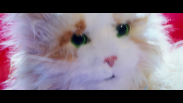 Video Reference: Cat, Carnivore, Felidae, Whiskers, Fawn, Small to medium-sized cats, Natural material, Snout, Fur, Art