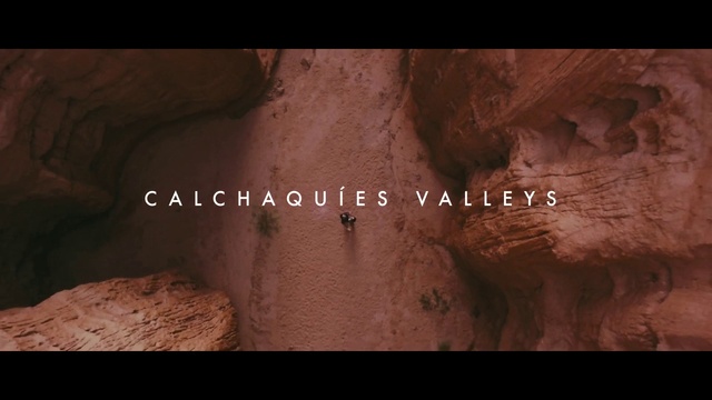 Video Reference: Wood, Font, Formation, Landscape, Hardwood, Flash photography, Soil, Plant, Darkness, Rectangle