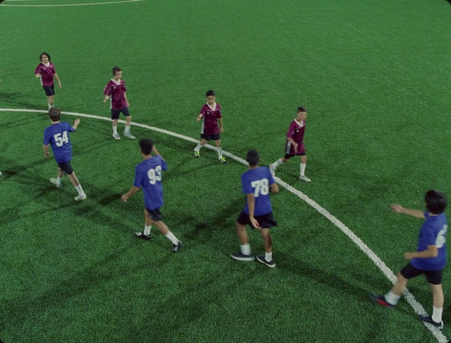 Video Reference: Footwear, Shorts, Sports equipment, Soccer ball, Player, Grass, Plant, Ball game, Football player, Sports