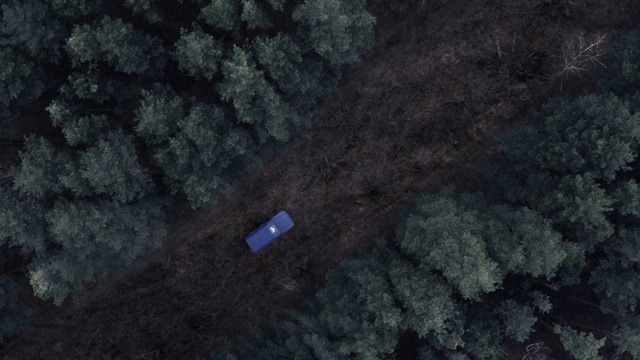 Video Reference: Plant, Bedrock, Slope, Grass, Landscape, Tree, Soil, Rock, Groundcover, Freezing