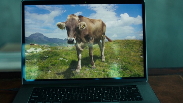 Video Reference: Computer, Personal computer, Sky, Cloud, Plant, Output device, Green, Nature, Laptop, Natural landscape