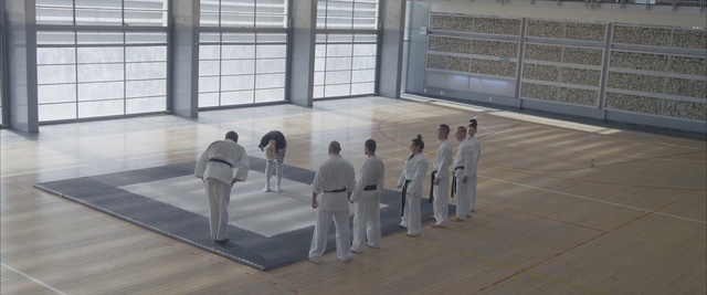 Video Reference: Martial arts uniform, Dobok, Sports uniform, Martial arts, Japanese martial arts, Combat sport, Striking combat sports, Karate, Kung fu, Contact sport