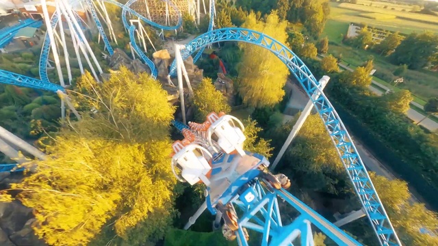 Video Reference: Photograph, Plant, Yellow, Tree, Grass, People in nature, Leisure, Fun, Landscape, Pole