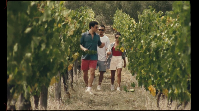 Video Reference: Plant, Shorts, People in nature, Gesture, Natural landscape, Happy, Grass, Tree, Leisure, Luggage and bags