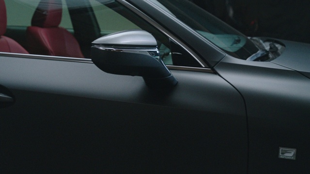 Video Reference: Automotive side-view mirror, Vehicle, Plant, Automotive lighting, Car, Hood, Motor vehicle, Automotive tire, Automotive mirror, Automotive design