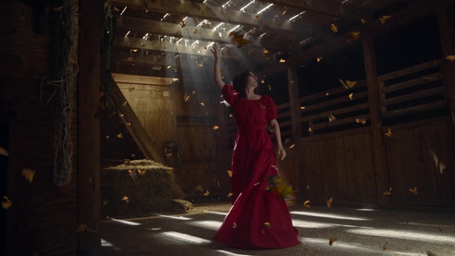 Video Reference: Fashion design, Tints and shades, Flash photography, Performing arts, Formal wear, Event, Flooring, Darkness, Haute couture, Entertainment