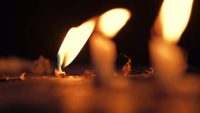 Video Reference: Vertebrate, Wax, Flame, Fire, Heat, Gas, Candle, Event, Darkness, Sky
