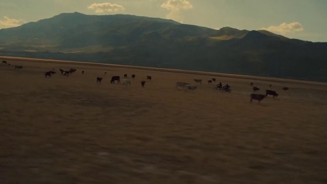 Video Reference: Bird, Sky, Cloud, Mountain, Animal migration, Plain, Grassland, Landscape, Flock, Livestock