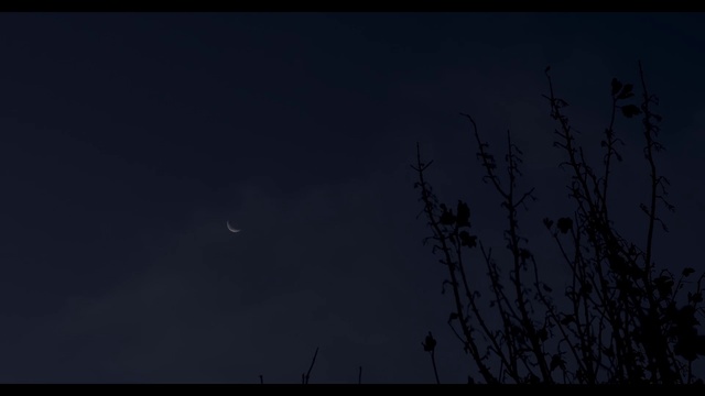 Video Reference: Sky, Atmosphere, Moon, Crescent, Atmospheric phenomenon, Twig, Astronomical object, Tree, Plant, Space