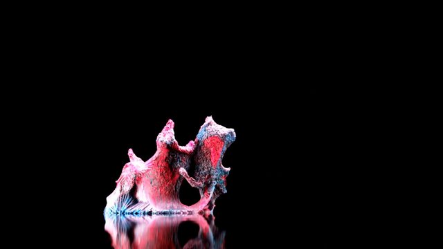 Video Reference: abstract, organic form, colorful, pink, blue, black background, reflection, surreal, texture, digital art, macro, isolated, minimal, symmetry
