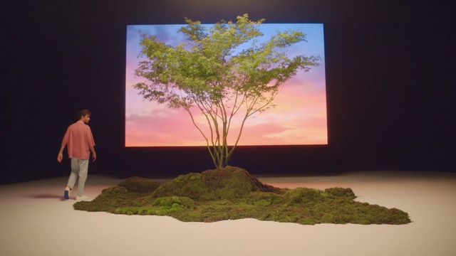 Video Reference: Ecoregion, World, Tree, Sky, Natural landscape, Branch, Plant, Wood, Art, Trunk