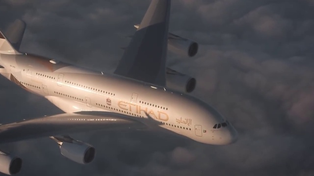 Video Reference: Sky, Cloud, Aircraft, Vehicle, Airplane, Plant, Aerospace manufacturer, Aviation, Air travel, Airliner