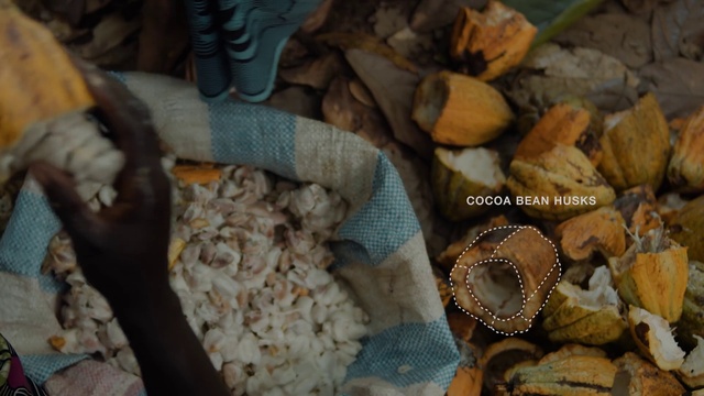 Video Reference: Wood, Staple food, Cuisine, Handwriting, Fashion accessory, Natural material, Rock, Jewellery, Natural foods, Vegetable