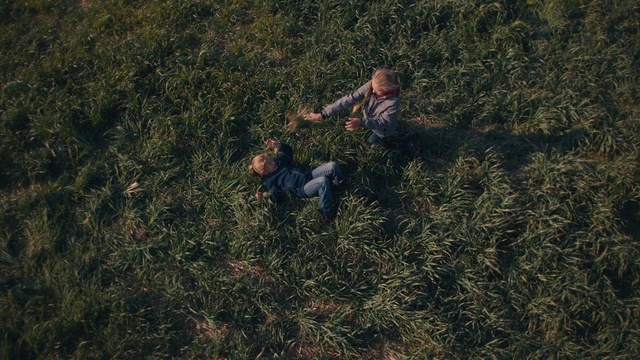 Video Reference: Plant, People in nature, Happy, Grassland, Groundcover, Grass, Shrub, Landscape, Soil, Prairie