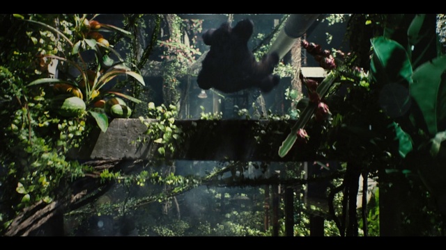 Video Reference: Plant, Terrestrial plant, Grass, Natural landscape, Forest, Landscape, Cg artwork, Jungle, Darkness, Fictional character