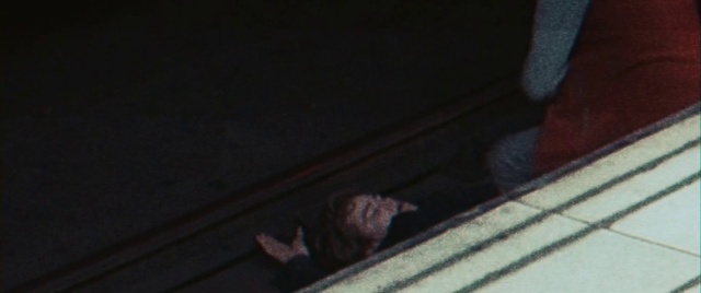 Video Reference: Brown, Wood, Bat, Tints and shades, Felidae, Tail, Darkness, big brown bat, Small to medium-sized cats, Flooring