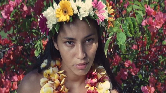 Video Reference: portrait, woman, flower crown, floral lei, close-up, colorful, flowers, tropical, face, garden, decorative, nature, festival, artistic, background, headpiece
