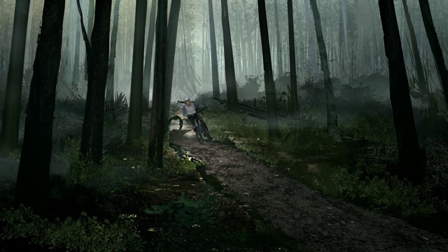 Video Reference: Plant, Ecoregion, Natural landscape, Tree, Wood, People in nature, Fog, Terrestrial plant, Biome, Grass