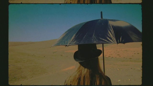Video Reference: Umbrella, Ecoregion, Vertebrate, Shade, Mammal, Sky, Headgear, Horizon, Landscape, Wood