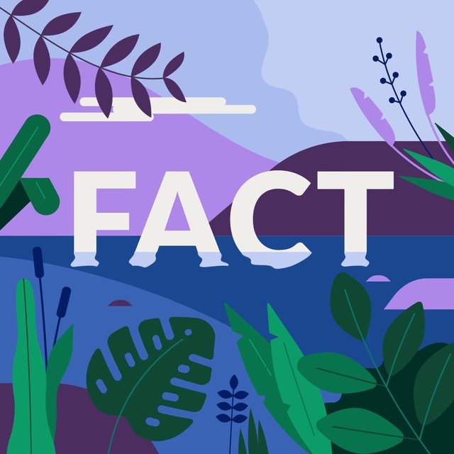 Video Reference: Nature, Botany, Leaf, Organism, Font, World, Terrestrial plant, People in nature, Art, Happy