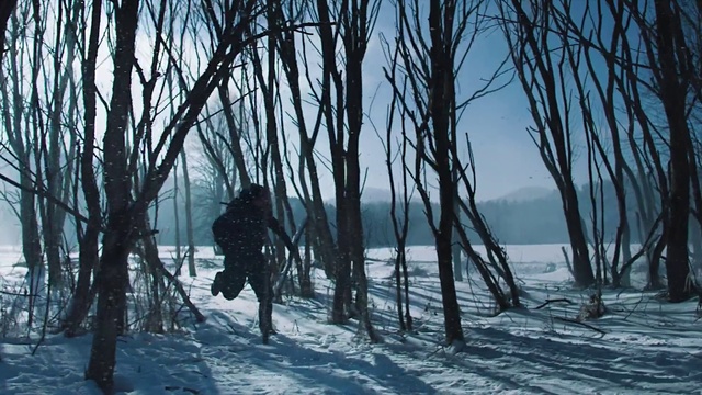 Video Reference: Sky, Plant, Snow, Tree, People in nature, Natural landscape, Wood, Freezing, Twig, Woody plant