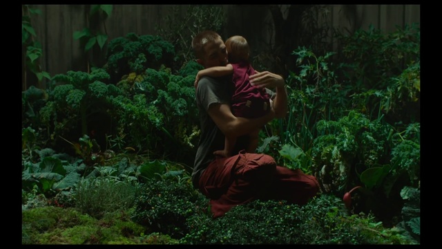 Video Reference: Plant, Plant community, Green, People in nature, Natural landscape, Terrestrial plant, Organism, Grass, Happy, Adaptation