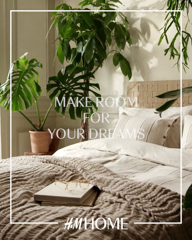 Video Reference: Plant, Property, Building, Houseplant, Comfort, Branch, Window, Wood, Interior design, Rectangle