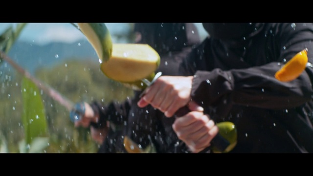 Video Reference: Organism, Gesture, Flash photography, Astronomical object, Glass, Windshield, Font, Event, Entertainment, Automotive window part