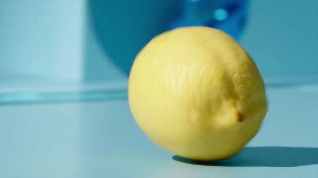 Video Reference: Food, Blue, Fruit, Citrus, Plant, Natural foods, Sweet lemon, Produce, Ball, Electric blue