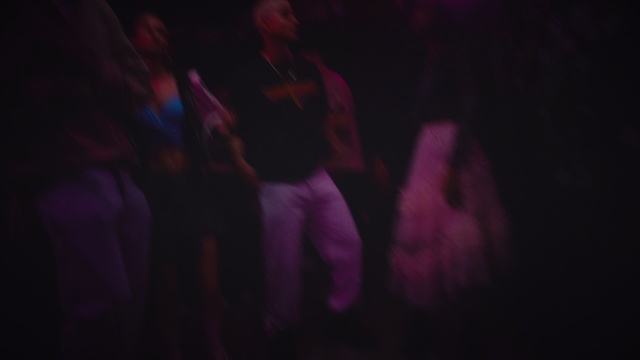 Video Reference: Purple, Violet, Pink, Plant, Music, Magenta, Performing arts, Electric blue, Artist, Event