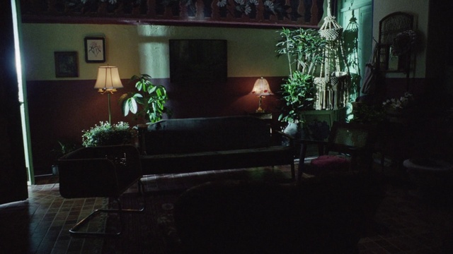 Video Reference: Plant, Couch, Houseplant, Building, Picture frame, Living room, Flowerpot, studio couch, Lamp, Tints and shades