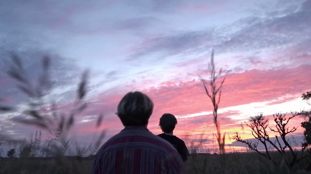 Video Reference: Cloud, Sky, Atmosphere, Plant, Afterglow, Nature, Dusk, Branch, Natural landscape, Sunset