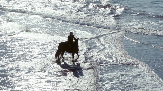 Video Reference: Horse, Water, Working animal, Horse tack, Pack animal, Wind wave, Landscape, Mane, Recreation, Horse supplies