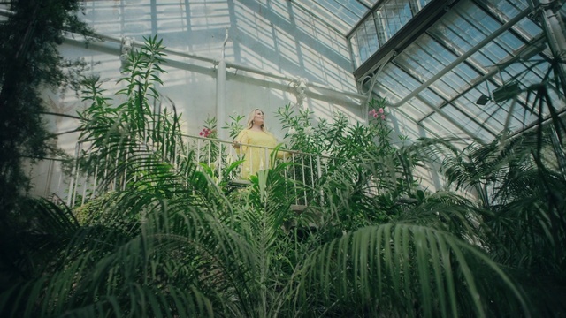 Video Reference: Plant, Eye, Plant community, Natural environment, Greenhouse, Terrestrial plant, Biome, Grass, Arecales, Landscape