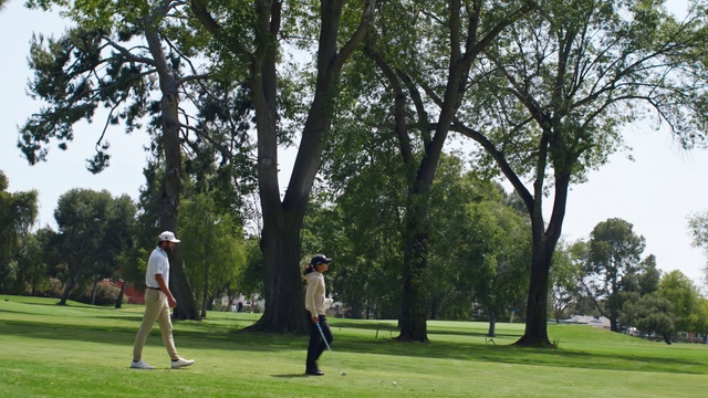 Video Reference: Plant, Sky, Tree, Professional golfer, Golf equipment, Golfer, Grass, Grassland, Leisure, Meadow