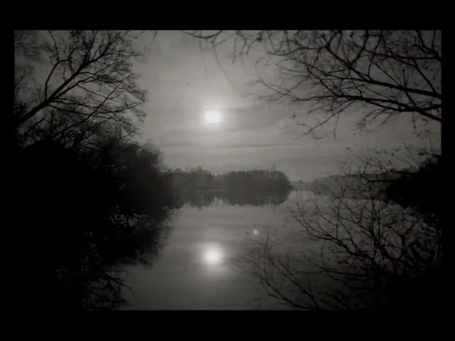 Video Reference: landscape, river, lake, water, sun, reflection, trees, silhouette, monochrome, nature, calm, outdoors, sky, winter, evening