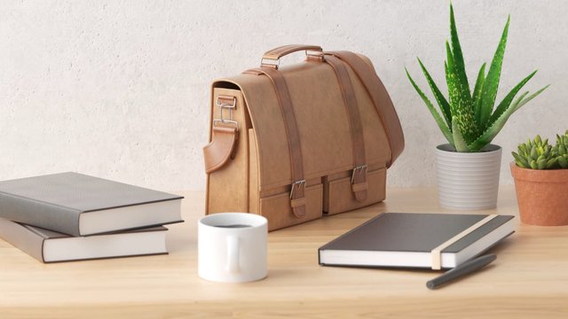 Video Reference: desk, backpack, books, mug, pen, succulents, potted plants, workspace, still life, indoor, minimalist, wooden table, office, school supplies