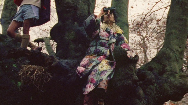 Video Reference: Plant, People in nature, Shorts, Tree, Fawn, Wood, Trunk, Tints and shades, Leisure, Grass