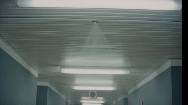 Video Reference: Shade, Wood, Fixture, Gas, Tints and shades, Beam, Ceiling fixture, Composite material, Ceiling, Light fixture