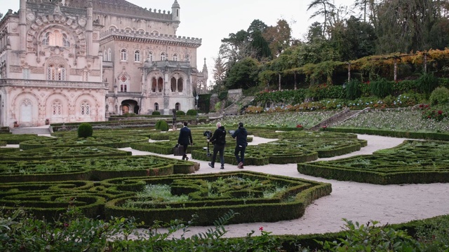 Video Reference: Plant, Building, Botany, Sky, Tree, Hedge, Grass, Leisure, Groundcover, Shrub
