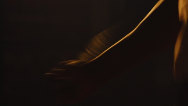 Video Reference: Sky, Wing, Fashion accessory, Darkness, Wood, Event, Feather, Electric blue, Macro photography, Metal