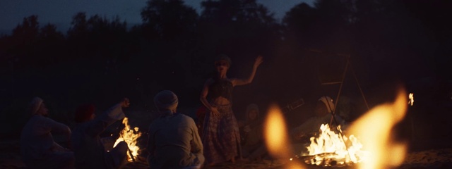 Video Reference: Bonfire, Tree, Fire, Campfire, Heat, Flame, Gas, Camping, Midnight, Fun